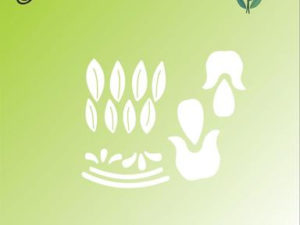 BLD1139 By Lene Die, Tulip-0