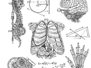 CMS379 Stampers Anonymous Tim Holtz Weird Science-0