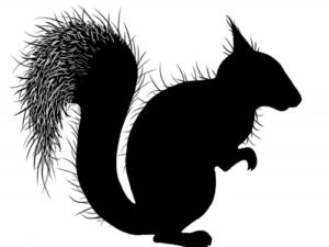 LAV442 Lavinia Stamps, Red Squirrel