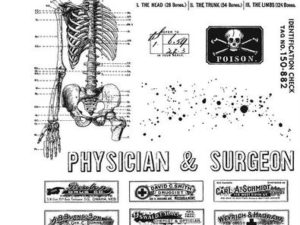 CMS412 Stampers Anonymous Tim Holtz Cling Stamp, Examination