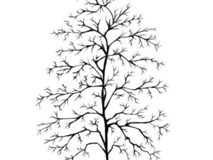 LAV124 Lavinia Stamps, Fern Leaf