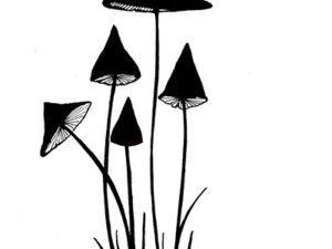 LAV150 Lavinia Stamps, Mushrooms