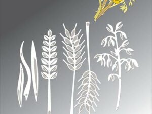 BLD1629 By Lene Die Cut/Emb, Ear Of Corn - Korn