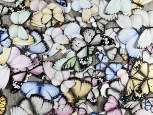 1985 Dan Cuts, Sommerfugle