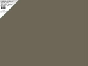 PFSS520 Paper Favourites Smooth Cardstock 30x30 cm 220Gr. - Smokey Grey