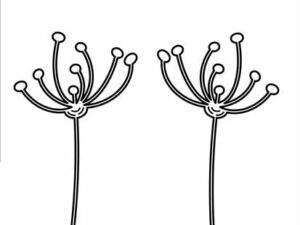 SBD425 Simple and Basic die, Decorative Branches