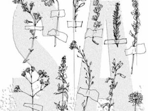 CMS481 Stampers Anonymous Tim Holtz Cling Stamp, Forgotten Garden