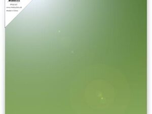 PFSS107 Paper Favourites Mirror Card Glossy, A4 - 5ark. - 250gr, Holly Green