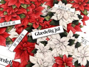 1975 Dan Cuts, Poinsettia Julestjerne