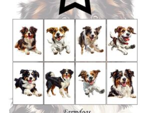 PFA567 Paper Favourites, Papirsblok A6, Farmdogs