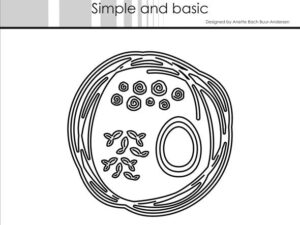 SBD528 Simple and Basic die, Scribbles Round - Rede Med Æg