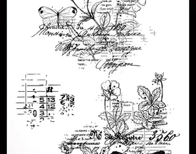 ACSCS0010 Arden Creative Studio Clear Stamp Set, Maker Series - Botanical Clusters