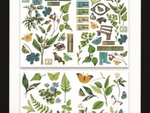 ACSLC0001 Arden Creative Studio Laser Cuts, Hidden Creek