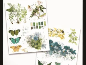 ACSRO0001 Arden Creative Studio Rub-On, Hidden Creek