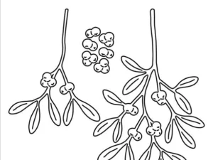 SBD605 Simple and Basic die, Beautiful mistletoe
