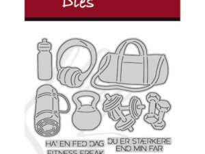 79370 Dan Dies, Fitness Udstyr