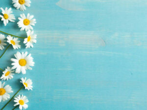 Onsdag 15. april 2026 (Tilmelding bindende)