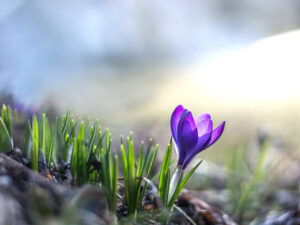 Tirsdag 19. Maj 2026 (Tilmelding bindende)